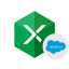 Excel Add-in for Salesforce